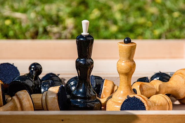 征召的权衡 征召的权衡