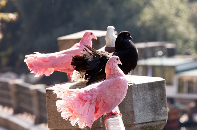能力与团队 能力与团队