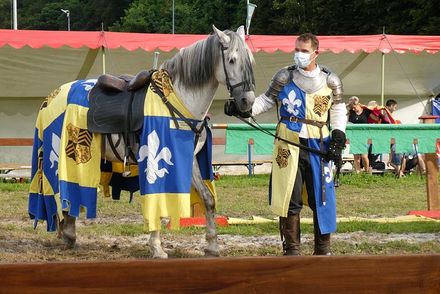 的荣耀时刻 的荣耀时刻