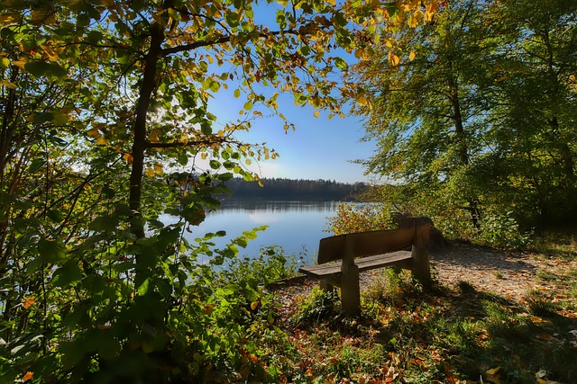 定的基礎上 定的基礎上
