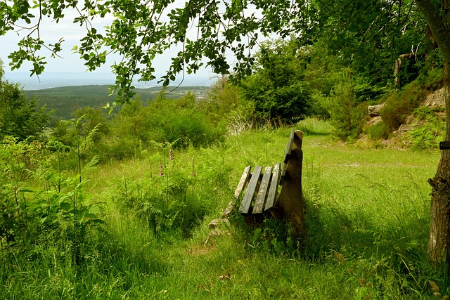 两位明星球 两位明星球