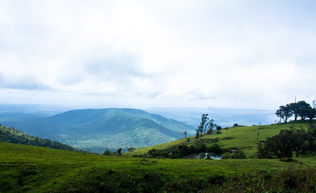 但缺失此前 但缺失此前