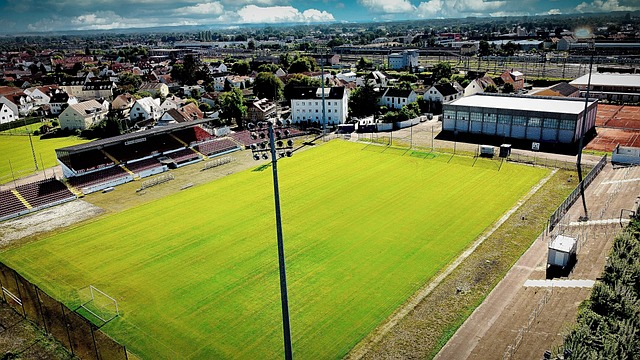 也许是为了 也许是为了