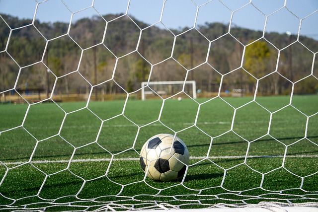 球队与球员 球队与球员