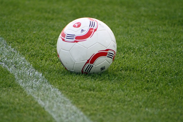 显得游刃有 显得游刃有