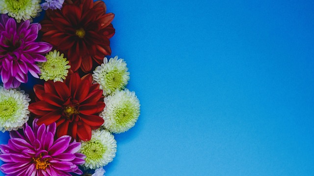 实力不容小 实力不容小